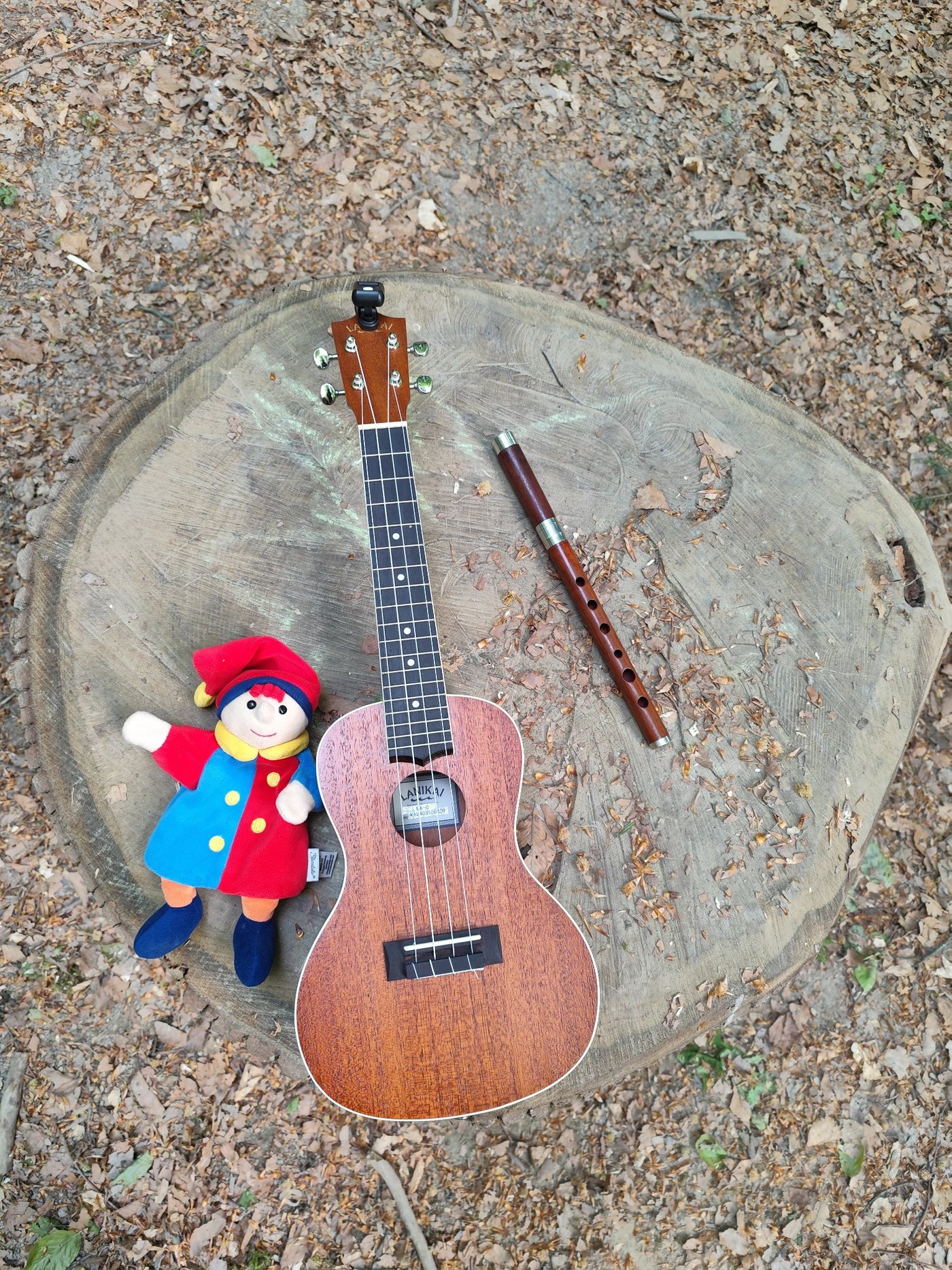 Musikinstrumente auf einem Baumstumpf im Wald